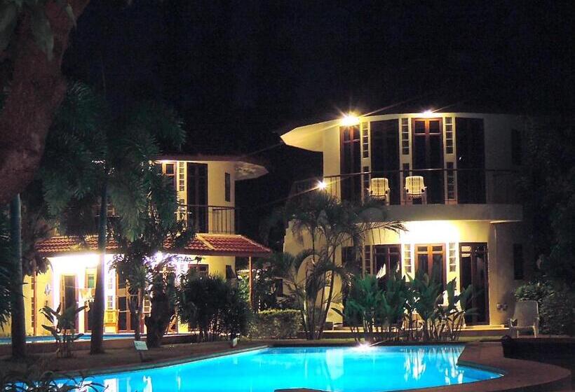 ホテル Mango Spa & Resort