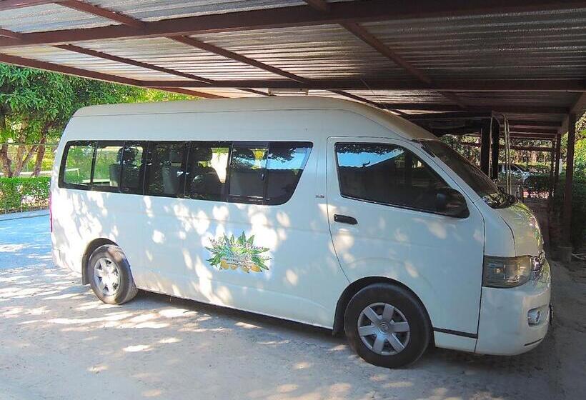 ホテル Mango Spa & Resort