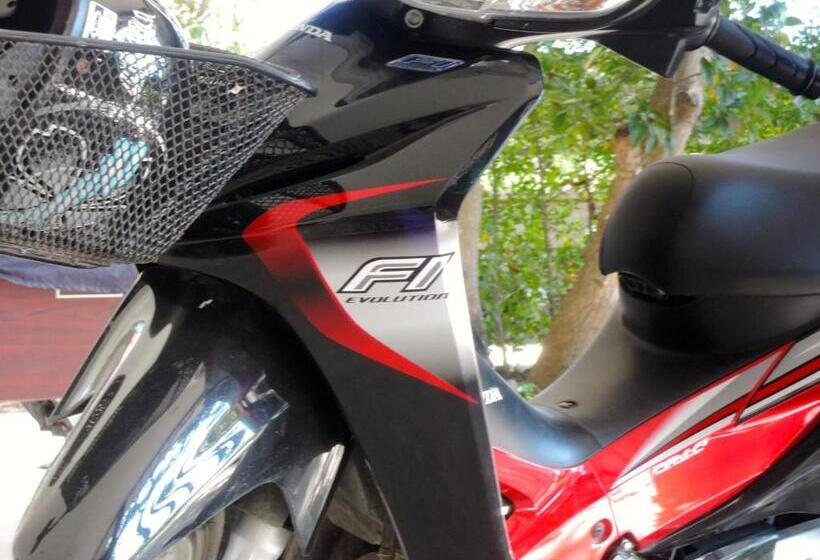 ホテル Mango Spa & Resort