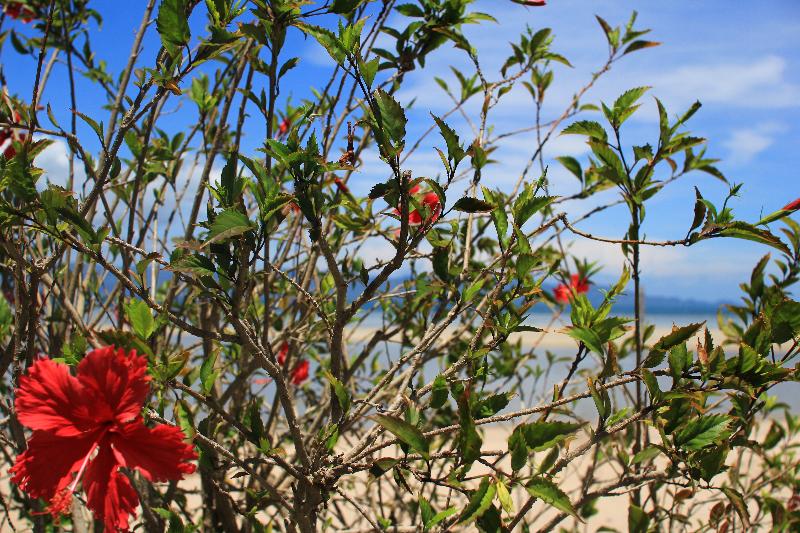 ホテル Morning Star Resort