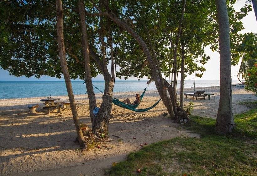 ホテル Morning Star Resort