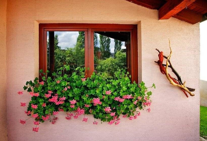 هتل Penzion Plesnivec