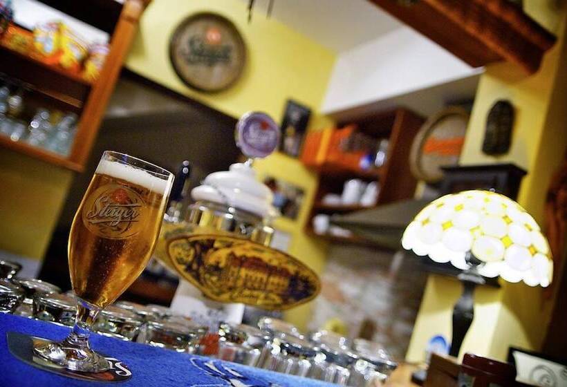 هتل Penzion Plesnivec