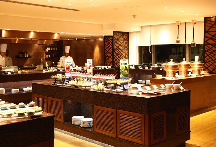 Radisson Blu Plaza Hotel Hyderabad Banjara Hills