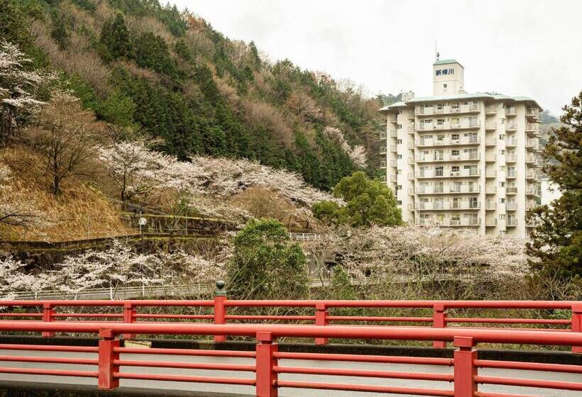 酒店 Shin Kabakawa Kanko