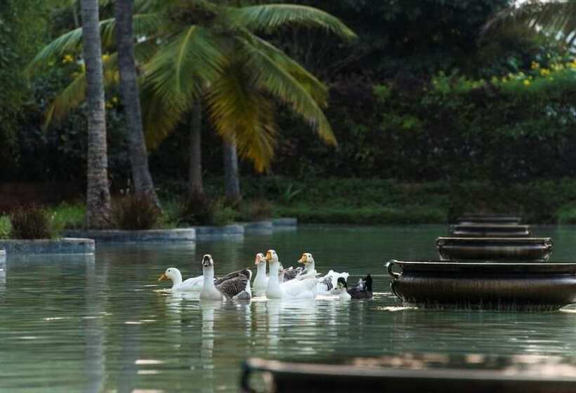 Отель The Windflower Resorts And Spa