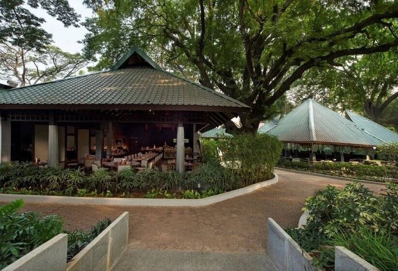 Отель The Windflower Resorts And Spa