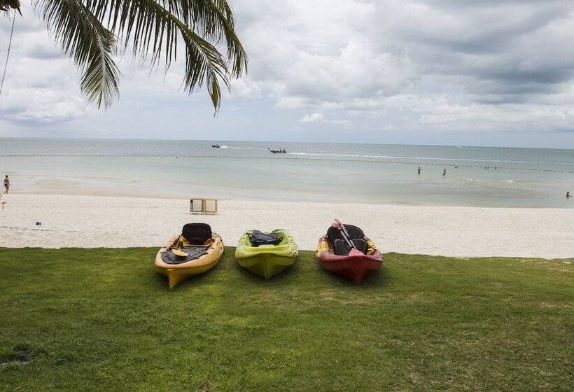 هتل Tommy Resort