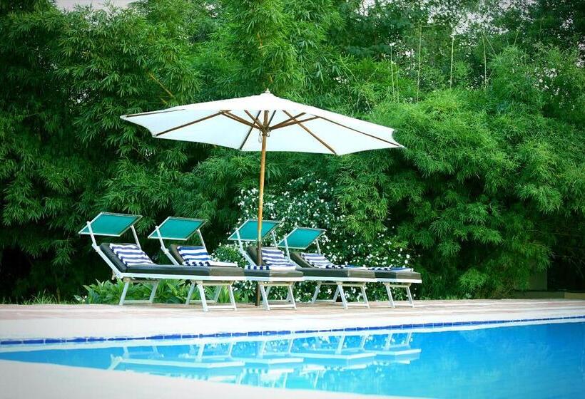 בית מלון כפרי Treehouse The Pugmark