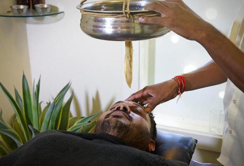 בית מלון כפרי Treehouse The Pugmark