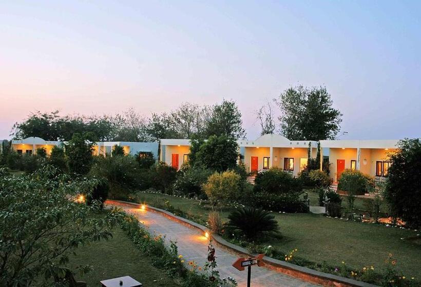 בית מלון כפרי Treehouse The Pugmark