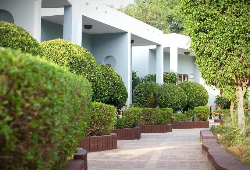 בית מלון כפרי Treehouse The Pugmark