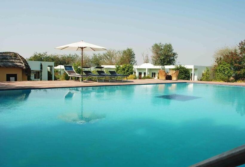 בית מלון כפרי Treehouse The Pugmark