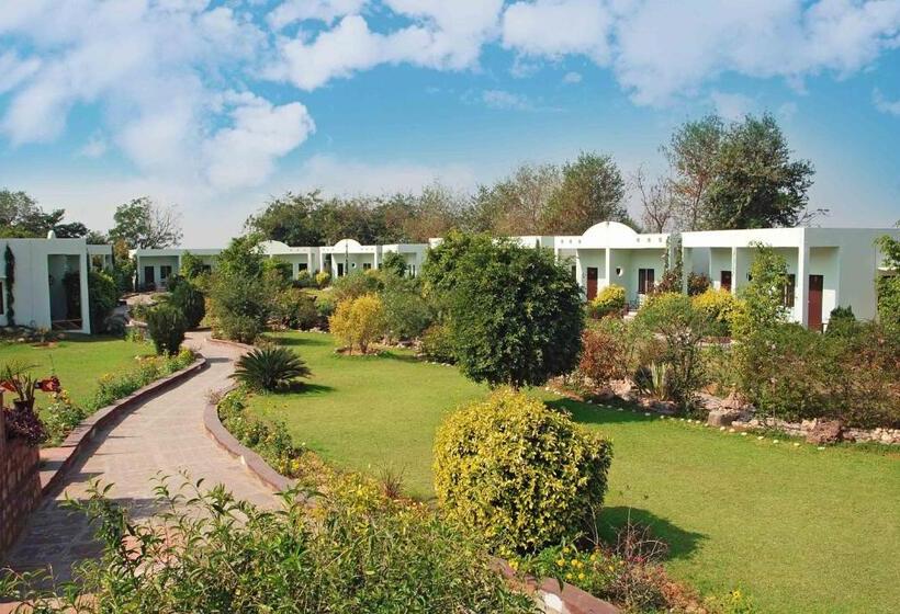 בית מלון כפרי Treehouse The Pugmark