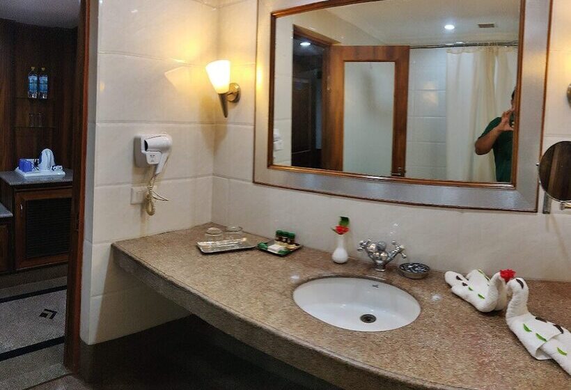 فندق Udai Vilas Palace