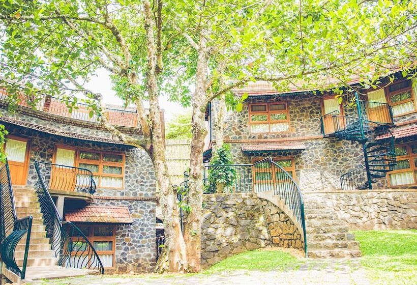 בית מלון כפרי Wildernest