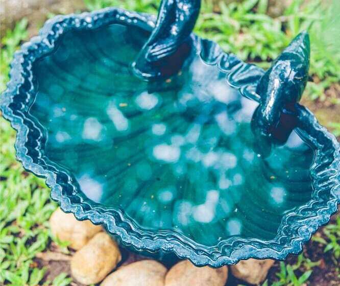 Отель Wildernest