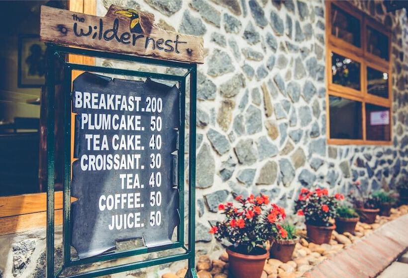 Отель Wildernest