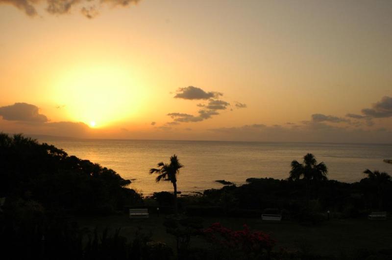 ホテル Yakushima Green