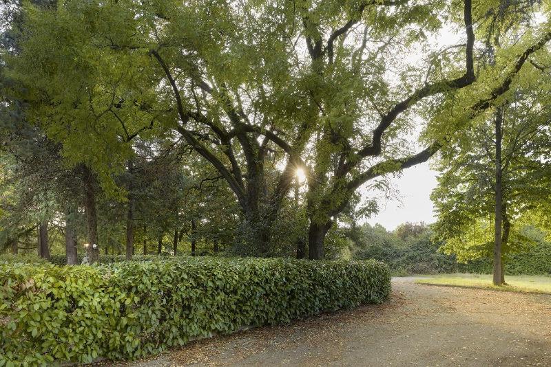 Meditur Hotel Bologna