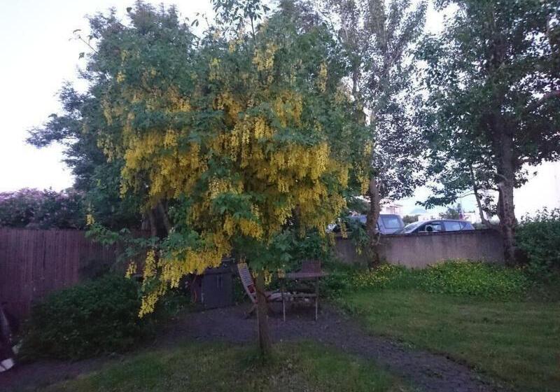 تختخواب و صبحانه Alba Guesthouse