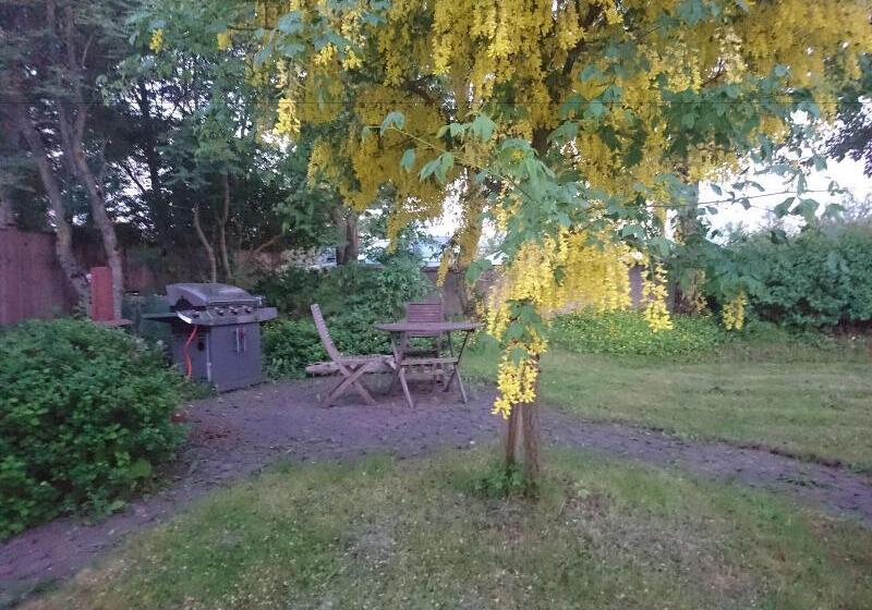 تختخواب و صبحانه Alba Guesthouse