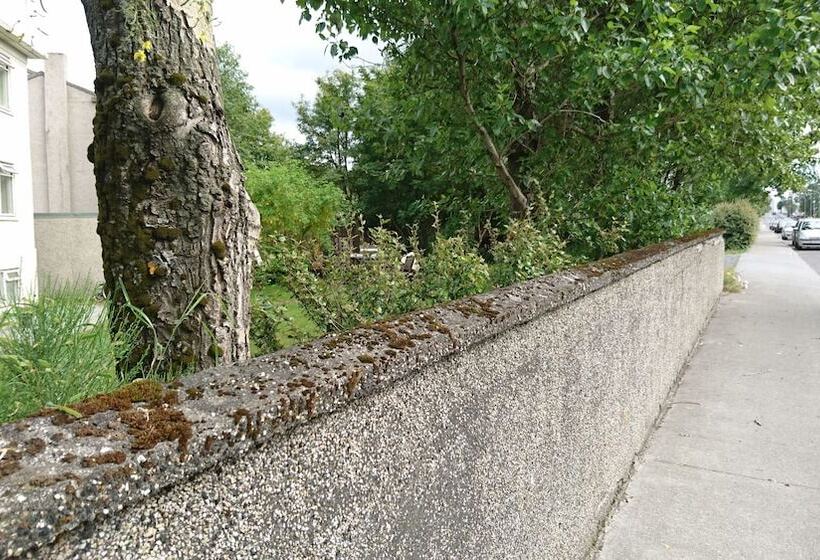 تختخواب و صبحانه Alba Guesthouse