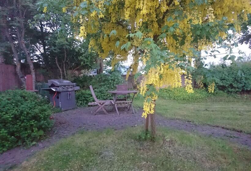 تختخواب و صبحانه Alba Guesthouse