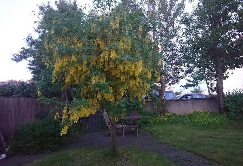 تختخواب و صبحانه Alba Guesthouse