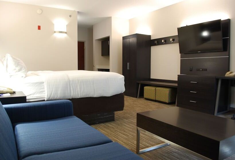 Holiday Inn Express Hotel & Suites Kingsport Meadowview I 26, An Ihg