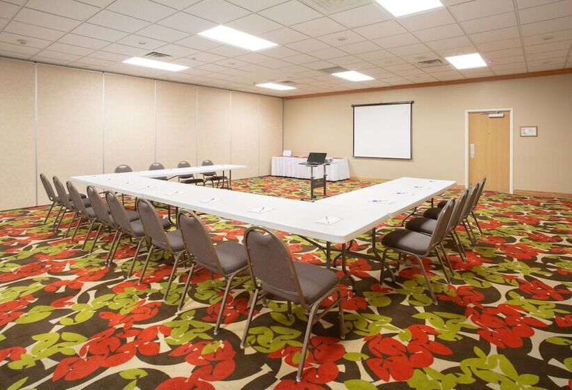 Holiday Inn Express Hotel & Suites Lexington, An Ihg