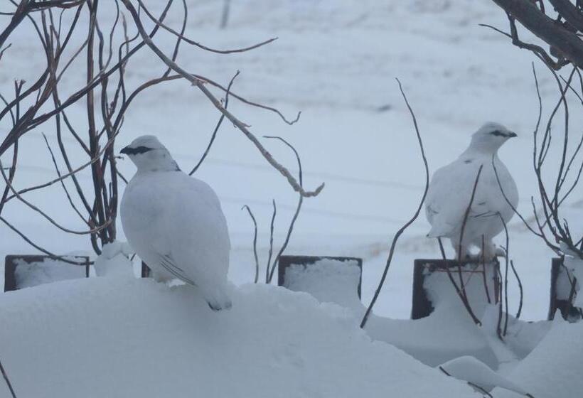 هتل Neðra Vatnshorn