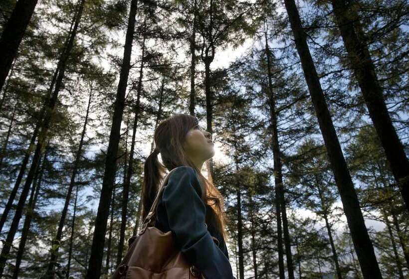 בית מלון כפרי Azumino Hotaka View