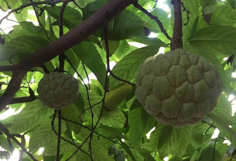 酒店 Barwara Kothi