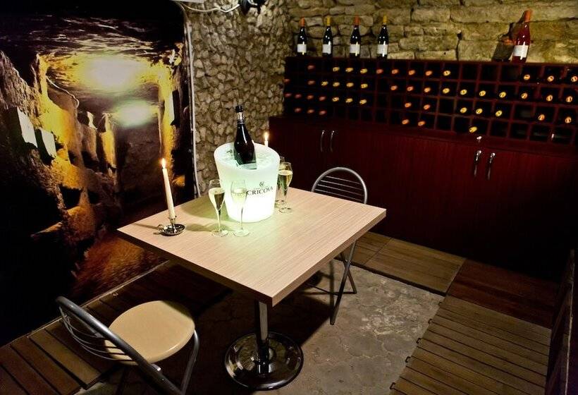 هتل Pensiune Turistica Olsi