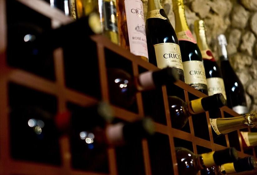 هتل Pensiune Turistica Olsi