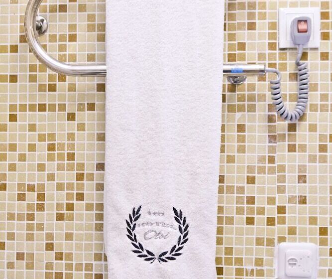 هتل Pensiune Turistica Olsi