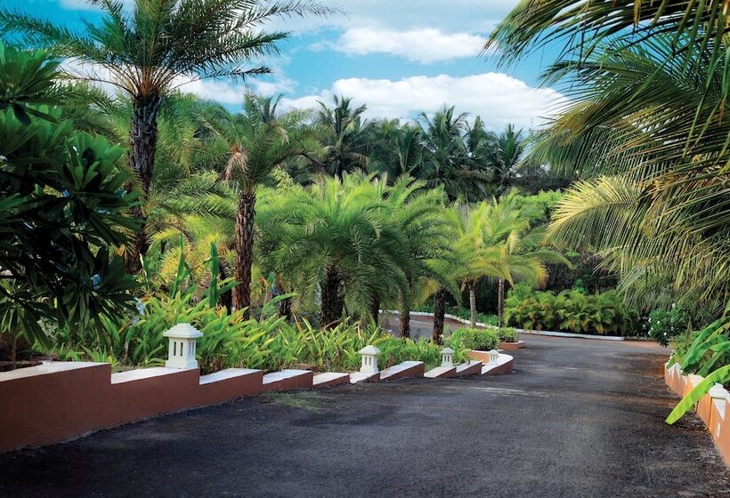 فندق Blue Ocean The Fern Resort & Spa Ganpatipule