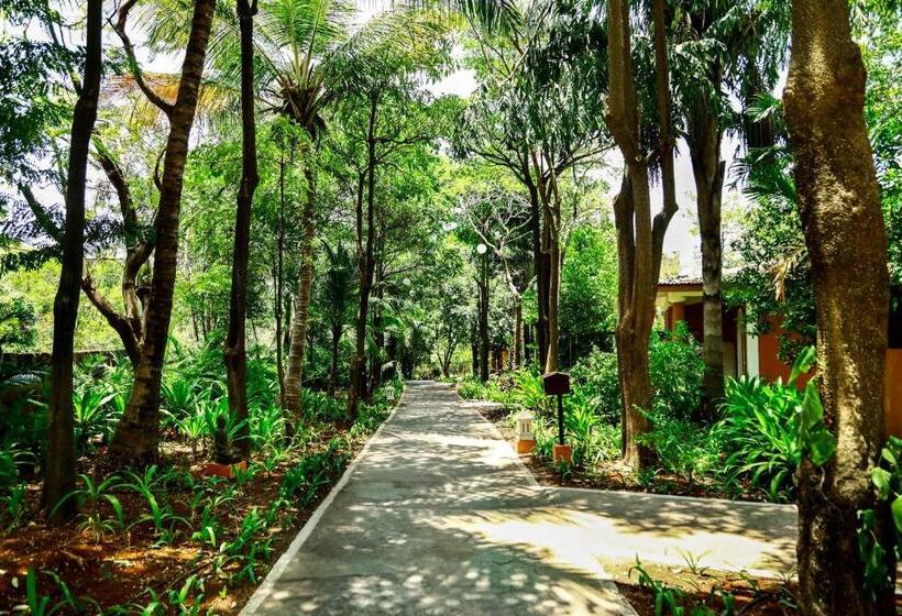 Отель Blue Ocean The Fern Resort & Spa Ganpatipule