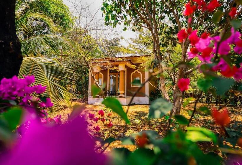 فندق Blue Ocean The Fern Resort & Spa Ganpatipule