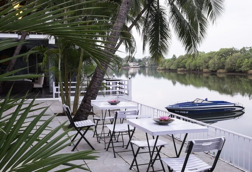 בית מלון כפרי Casa Colvale