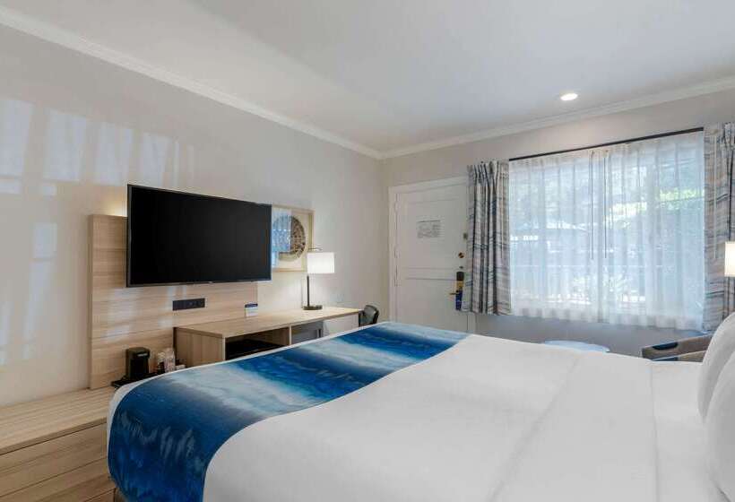 בית מלון כפרי Comfort Inn Carmel By The Sea