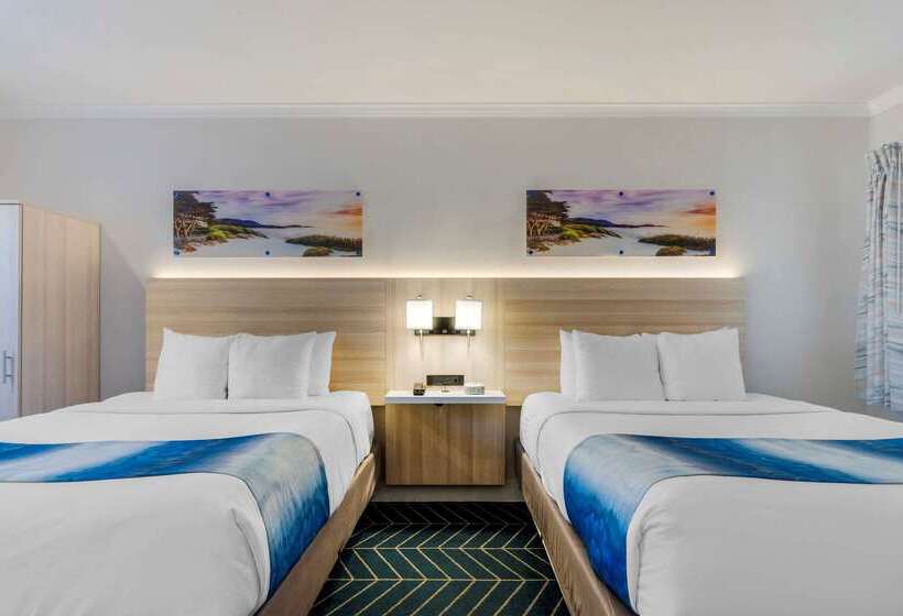 ホテル Comfort Inn Carmel By The Sea