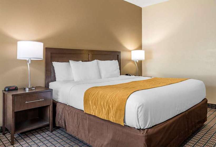 호텔 Comfort Inn & Suites