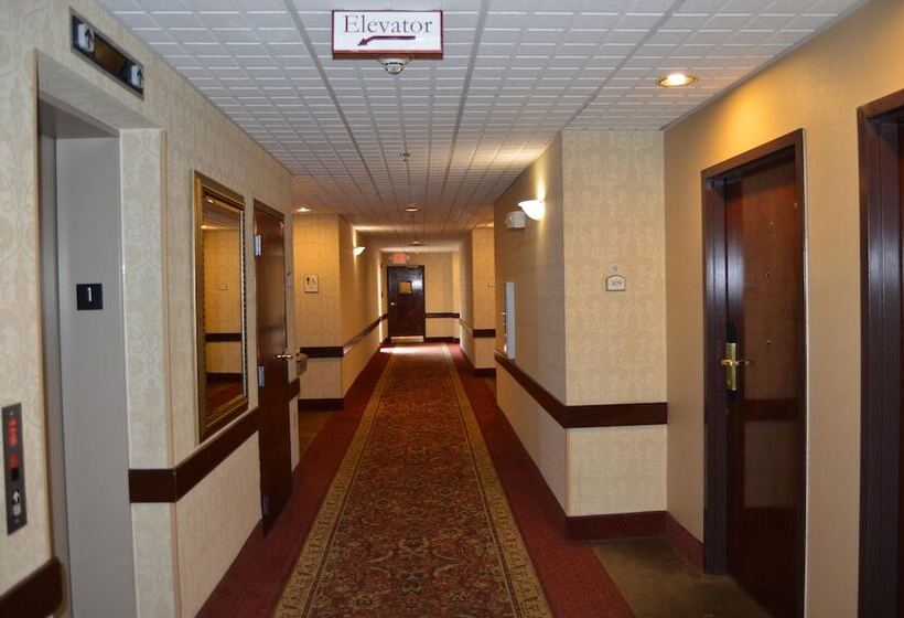 호텔 Comfort Inn & Suites