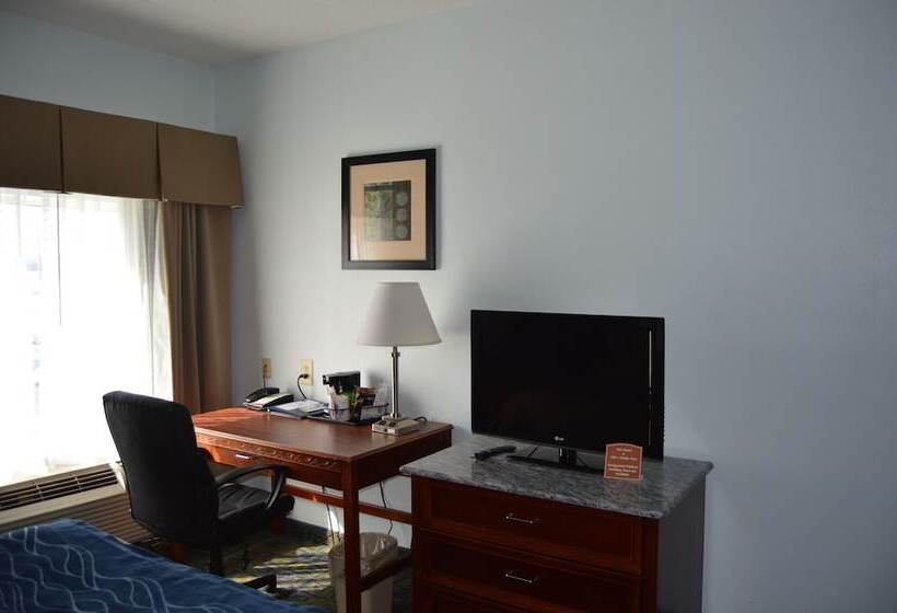 호텔 Comfort Inn & Suites