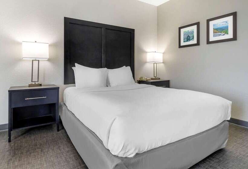 فندق Comfort Inn & Suites Greer  Greenville