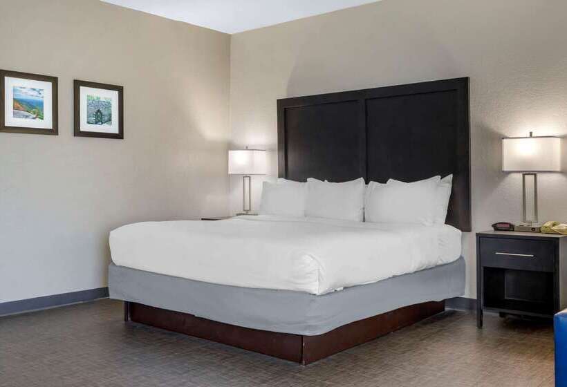 فندق Comfort Inn & Suites Greer  Greenville