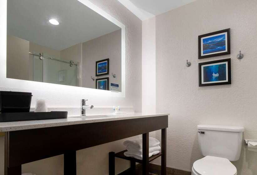 فندق Comfort Inn & Suites Greer  Greenville