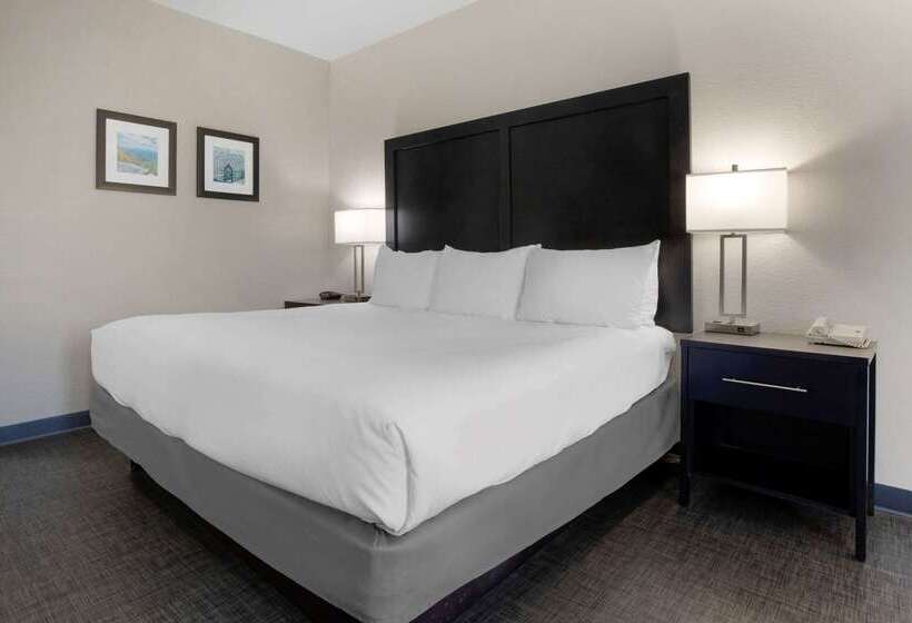 فندق Comfort Inn & Suites Greer  Greenville